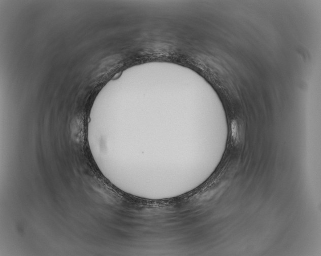 X0000110321203200906111445