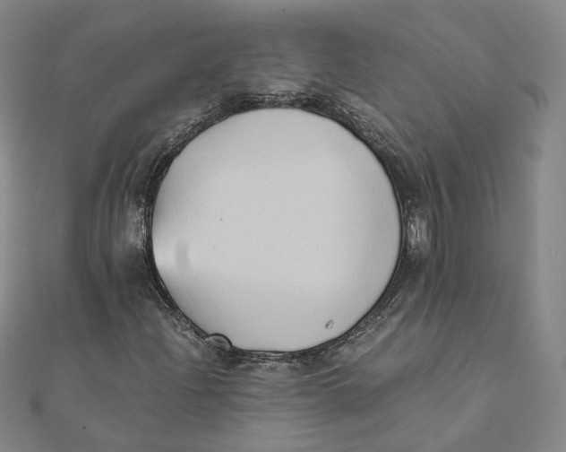 X0000110321204200906111445