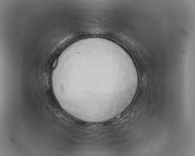 X0000110321205200906111445