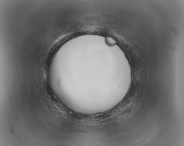 X0000110321206200906111445