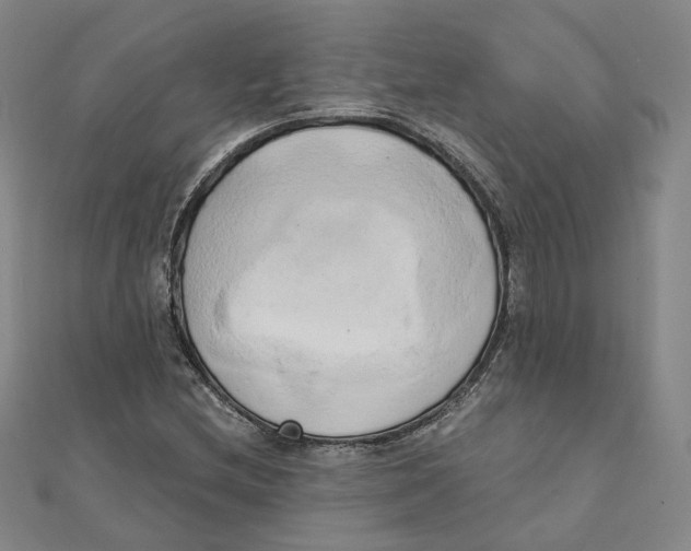 X0000110321212200906111445