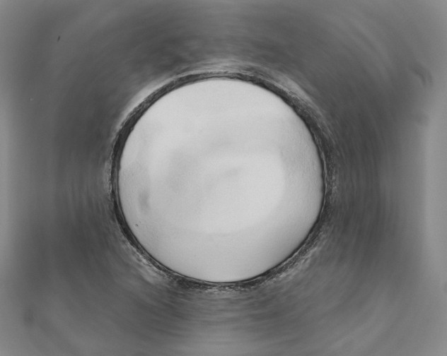 X0000110321216200906111446