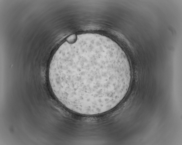 X0000110321217200906111446