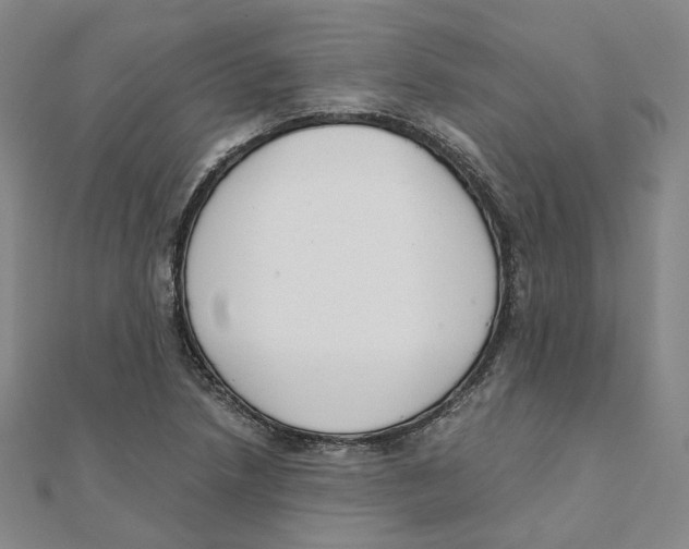 X0000110321218200906111446