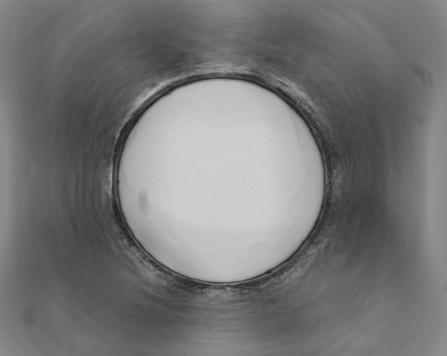 X0000110321220200906111446