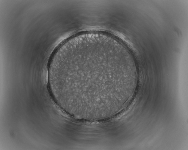 X0000110321221200906111446