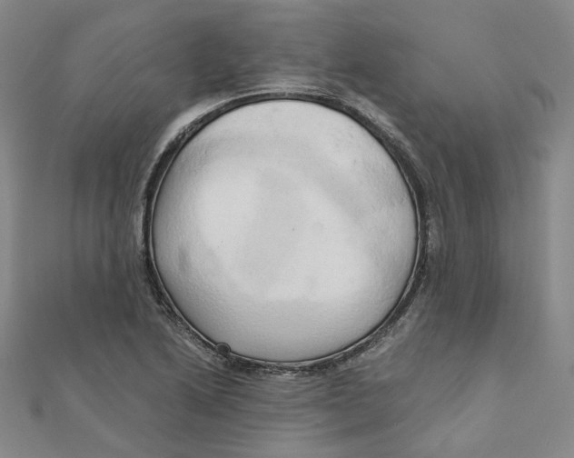 X0000110321222200906111446