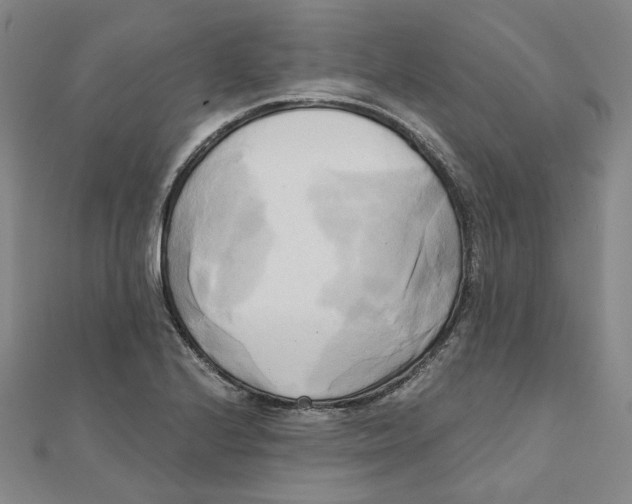 X0000110321224200906111446