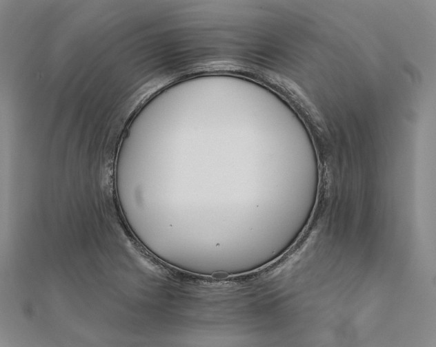 X0000110321225200906111446