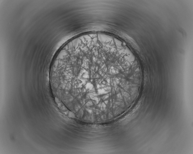 X0000110321226200906111446