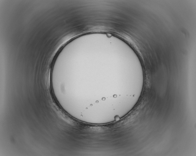 X0000110321227200906111446