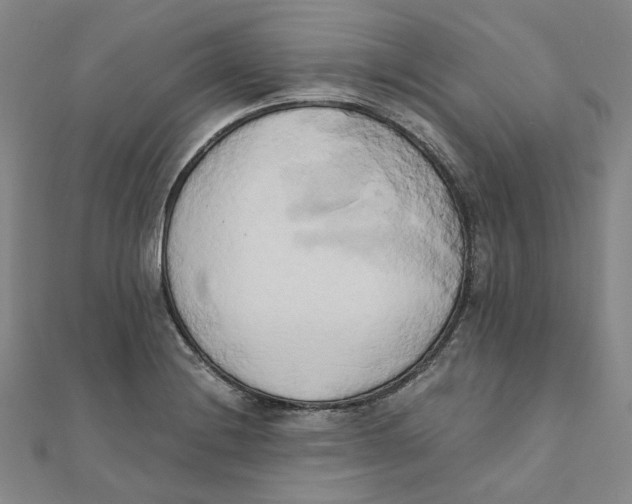 X0000110321228200906111446