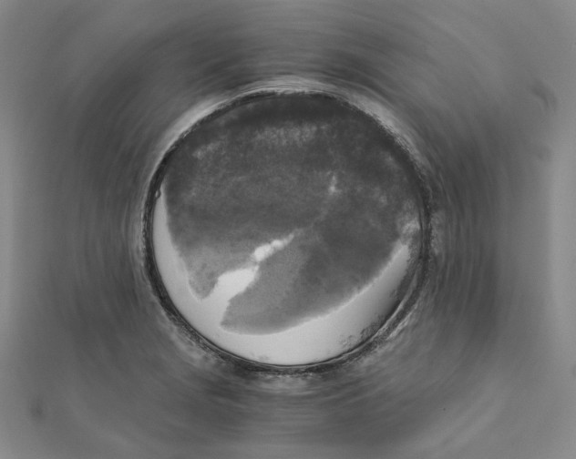 X0000110321229200906111446