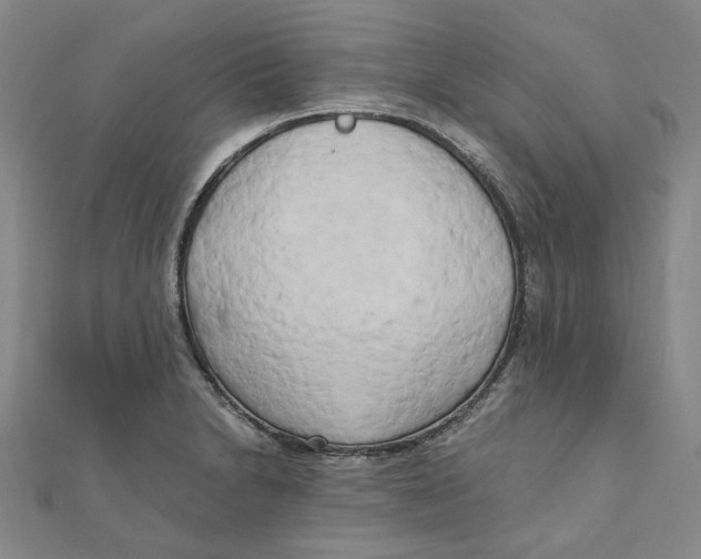 X0000110321230200906111446