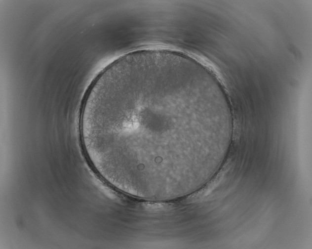 X0000110321231200906111446