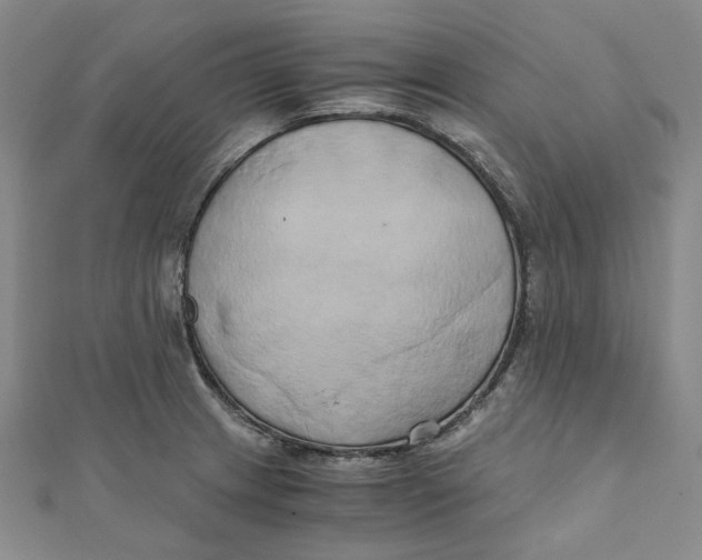 X0000110321233200906111446