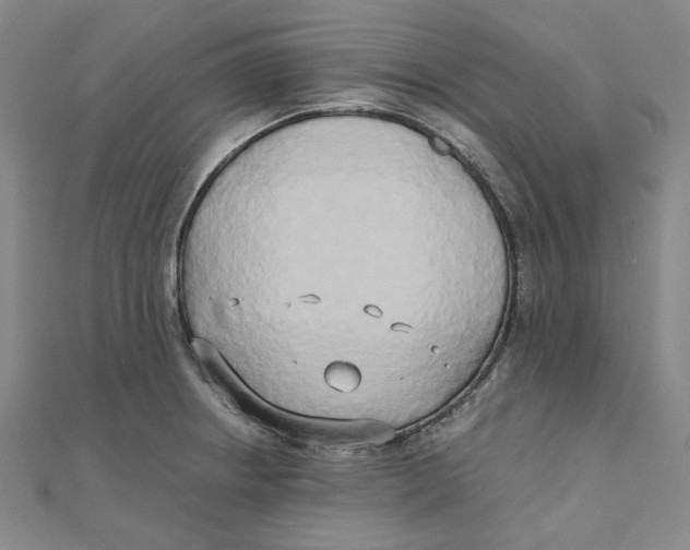 X0000110321234200906111446