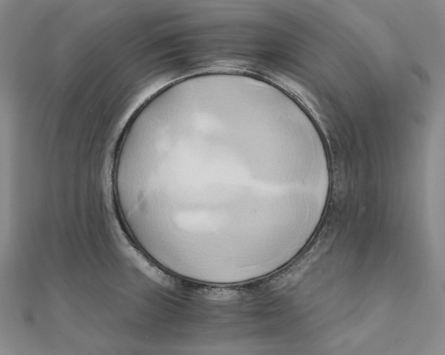 X0000110321235200906111446