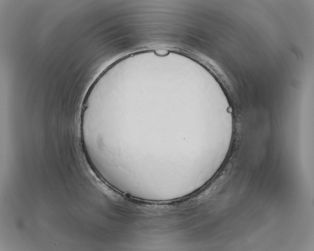 X0000110321236200906111446