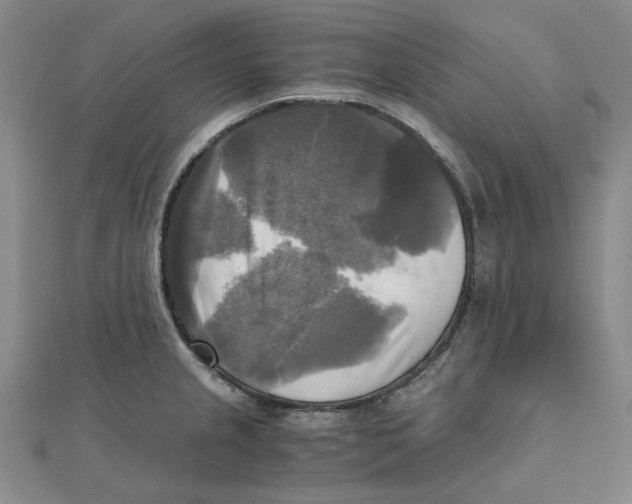 X0000110321237200906111446