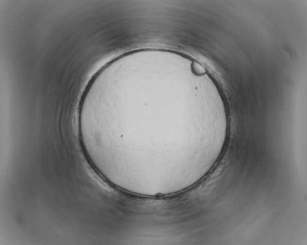 X0000110321238200906111446