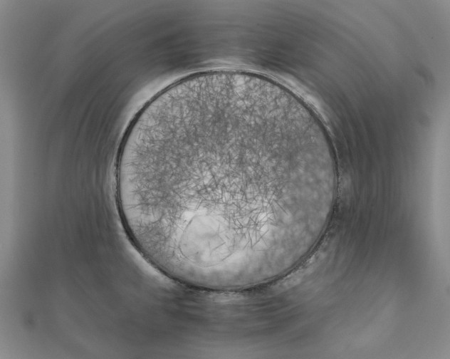 X0000110321239200906111446