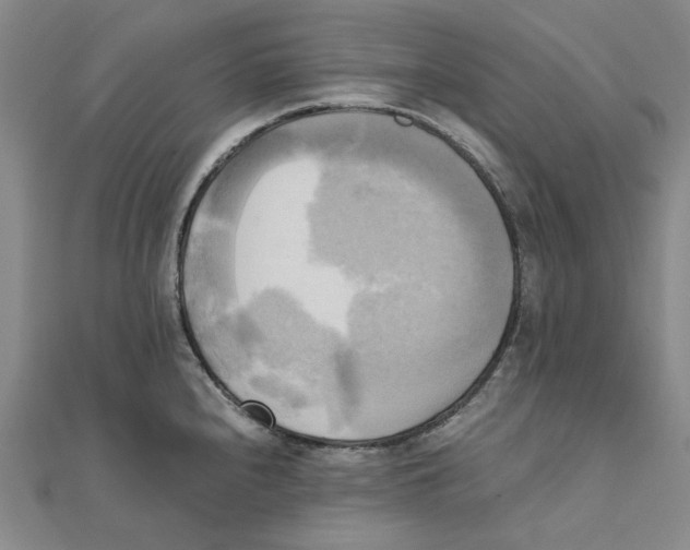 X0000110321240200906111446