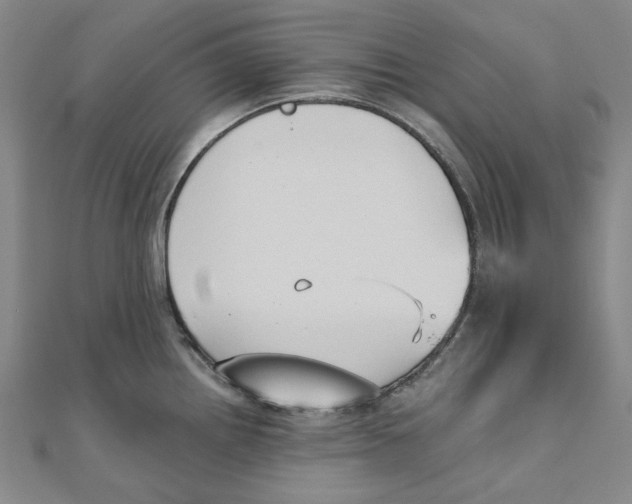 X0000110321242200906111446