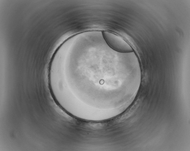 X0000110321243200906111446