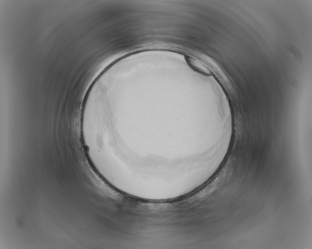 X0000110321244200906111446