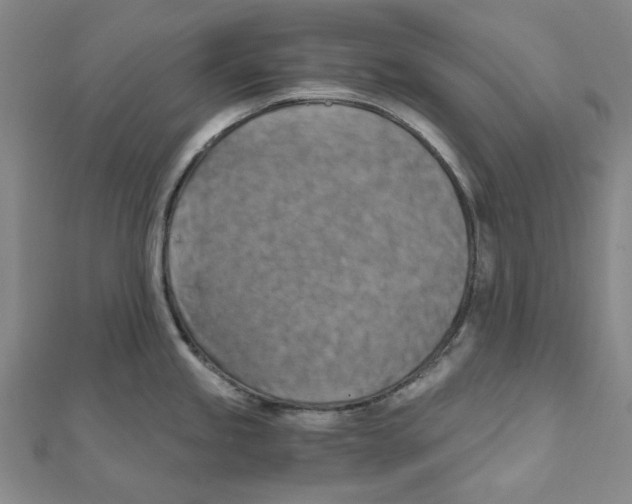 X0000110321245200906111446