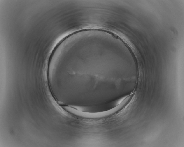 X0000110321246200906111446