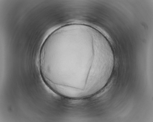 X0000110321247200906111446