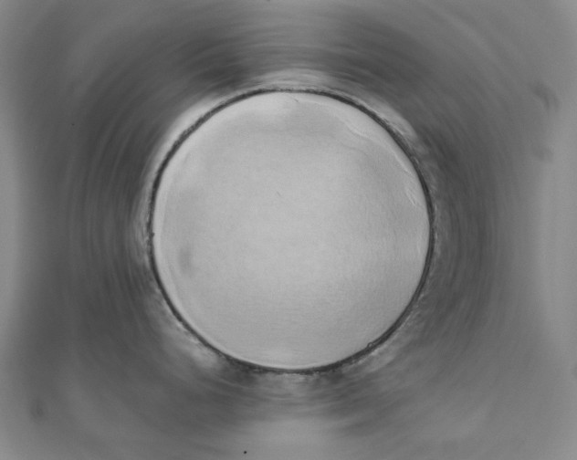 X0000110321248200906111446