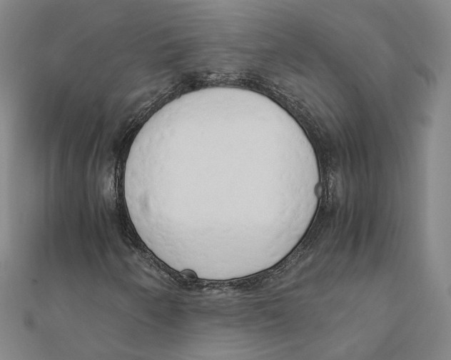 X0000110321250200906111445