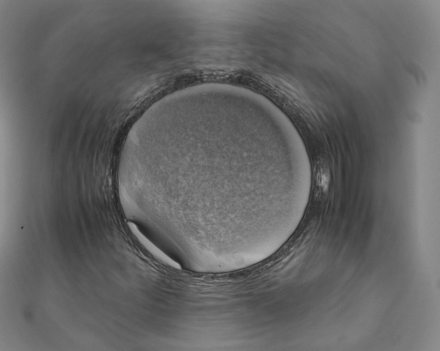 X0000110321252200906111445