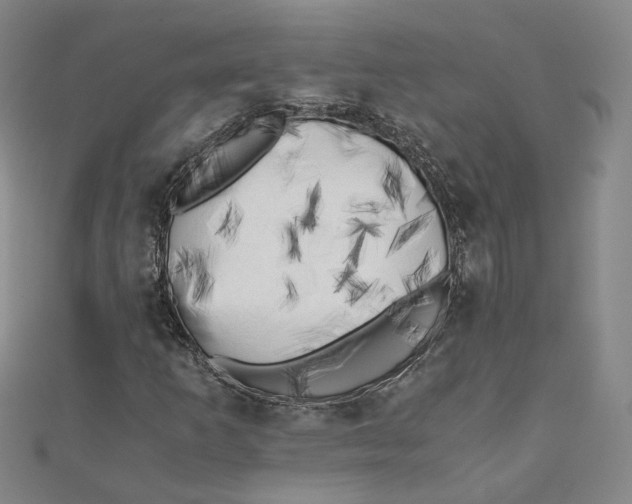 X0000110321253200906111445