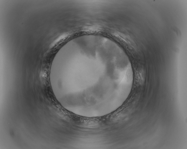 X0000110321254200906111445