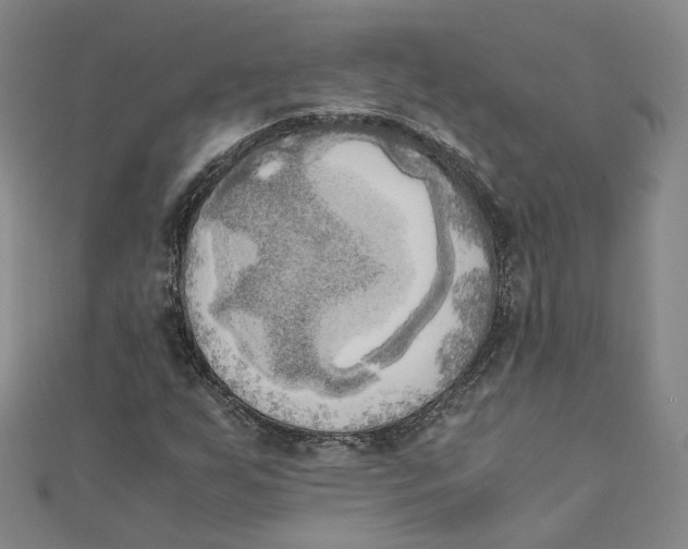 X0000110321255200906111445