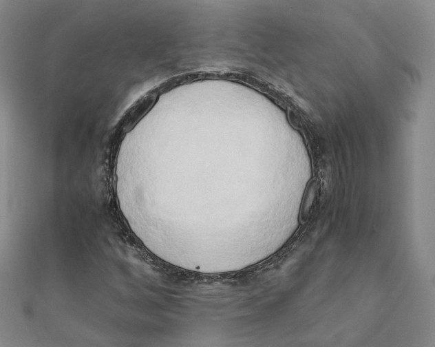 X0000110321256200906111445