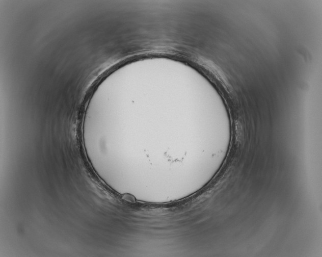 X0000110321260200906111445