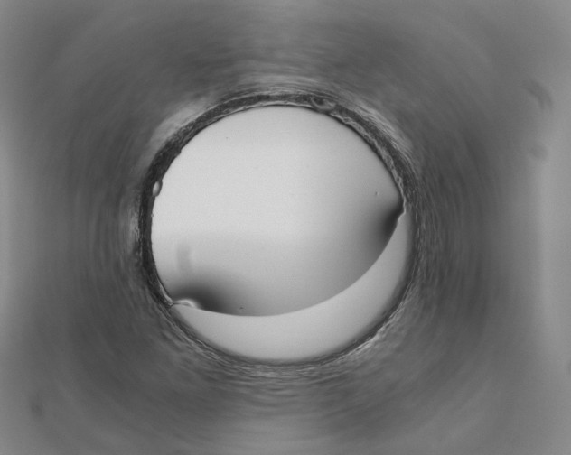 X0000110321261200906111445