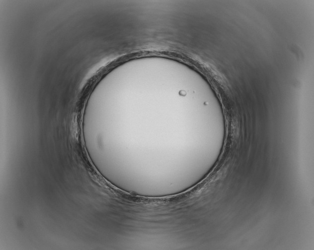 X0000110321262200906111445