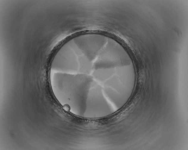 X0000110321263200906111445