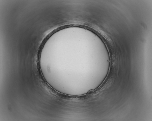 X0000110321264200906111445