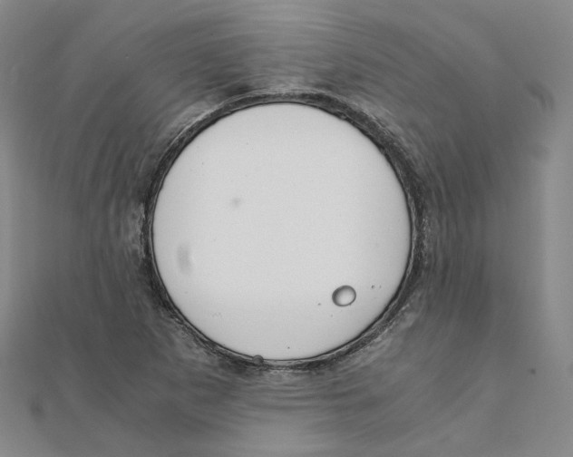 X0000110321265200906111445