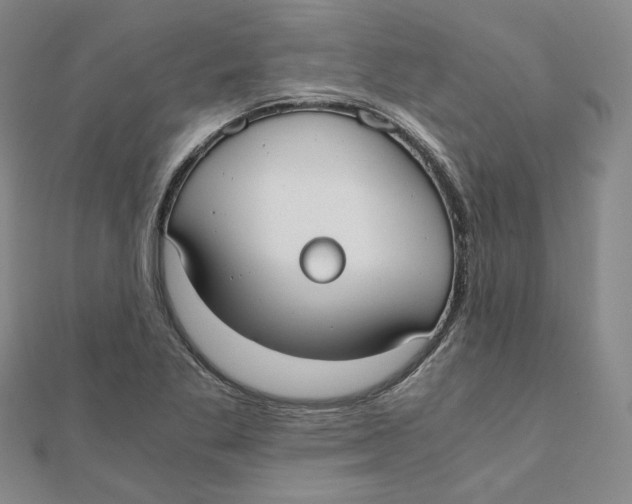 X0000110321269200906111445