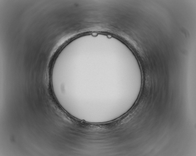 X0000110321270200906111445