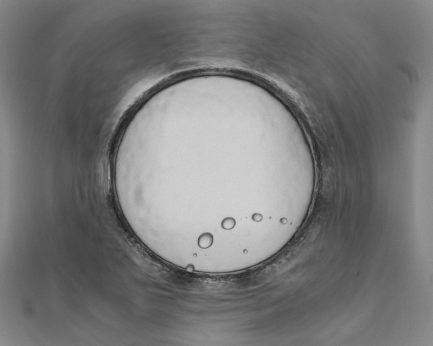 X0000110321271200906111445