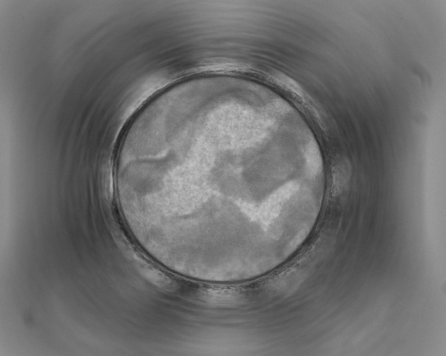 X0000110321274200906111445